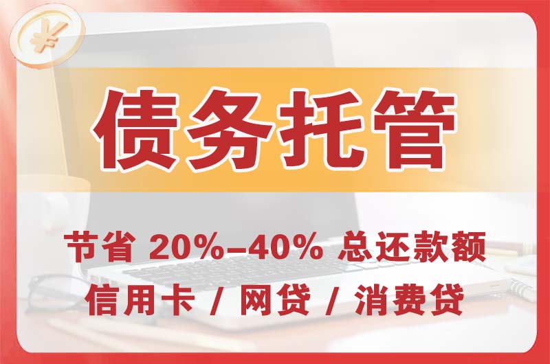 北大债务托管